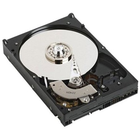 DELL NPOS - to be sold with Server only - 1TB 7.2K RPM SATA 6Gbps